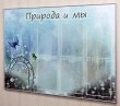 Стенд «Природа и мы» с бабочками, 1200 х 850 мм, аналог профиля Nielsen, 6 карманов А4. Стоимость 7930 рублей.